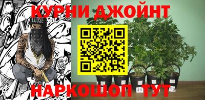 стафф Уссурийск